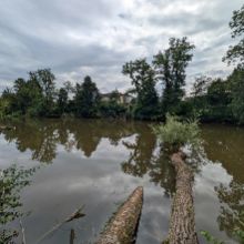 Binzmüliweiher wird ökologisch aufgewertet
