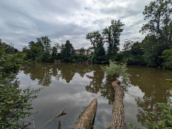 Binzmüliweiher