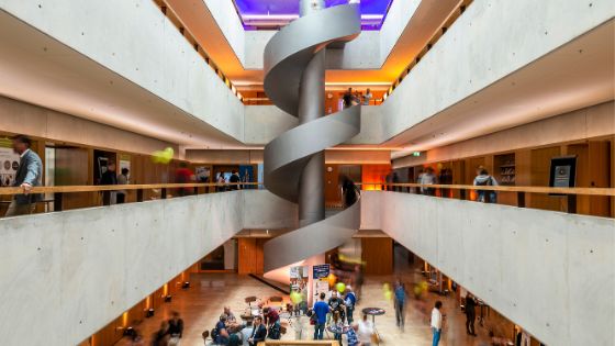 Lehrerin unterrichtet Primarschüler