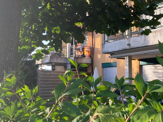 Gasgrill in Flammen