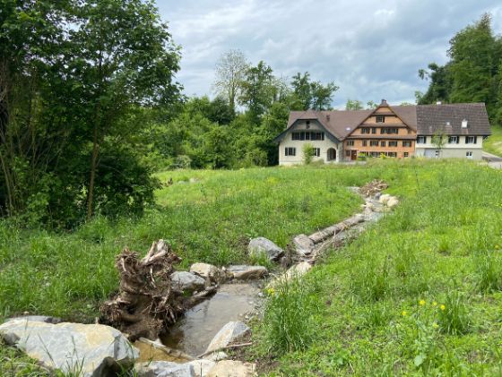 Binzmühlebach