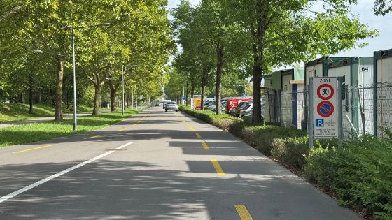 Tempo-30-Zone-Allmendstrasse