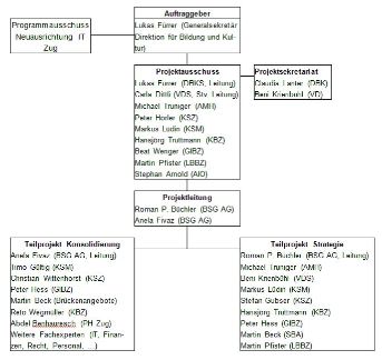 Projektoragnisation